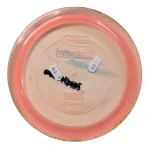 Innova Champion Tern - Image 3