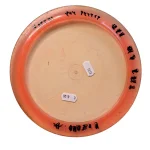 Innova Champion Tern - Bild 2