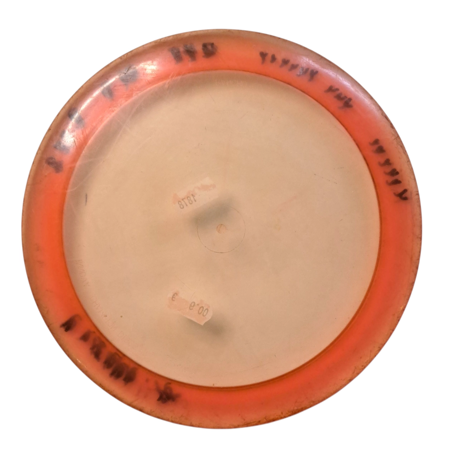 Innova Champion tern Innova Champion Tern - Bild 1