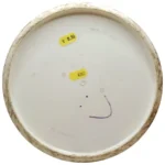 Exel Discs Havu - Bild 2