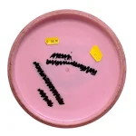 Latitude 64 Gold Gauntlet - Image 2