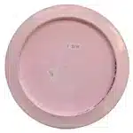 Dynamic Discs Fuzion Defender - Ricky Wysocki Team 64 - A True World Champion - Image 2