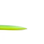 Discraft Z Undertaker - Paige Pierce 5X World Champion - Image 3