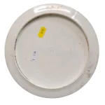 Dynamic Discs Lucid Raider - Image 2