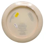 Innova Blizzard Champion Boss - David Wiggins Jr. 1108 ft World Record - Image 2