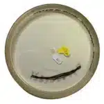 Prodiscus Premium Midari - Image 2