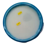 Discmania Metal Flake Horizon c-Line MD3 - Fan Vote - Image 3