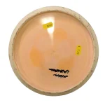 Latitude 64 Grand Royal Trust - Bild 2