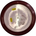 Latitude 64 Royal Grand Orbit Grace - Kristin Tattar 2022 - Image 2