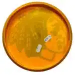 Discmania S-line P3X First Run - Chicago Blackhawks - Image 2