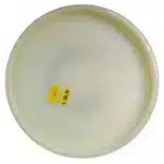 Kastaplast K1 Glow Berg 2022 - Image 2