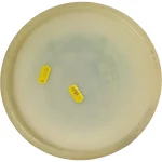 Discmania Glow C-line P3X Konopiste 2018 - Image 2