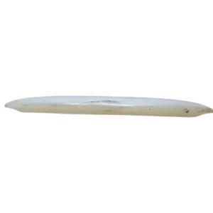 latitude 64 opto saint 3 1