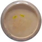 Innova Star Thunderbird - Image 3