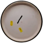 MVP Electron Anode - Image 2