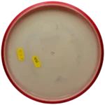 Axiom Discs Eclipse Envy - Image 3