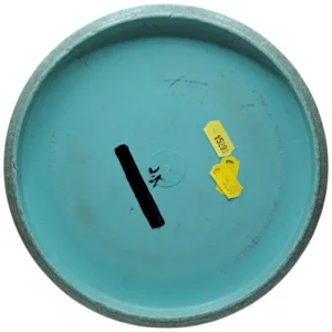 discmania d line p1x 7