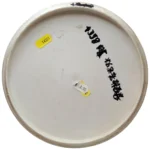 Innova DX RhynoX - Bild 3