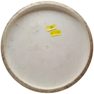 discmania d line p1 2