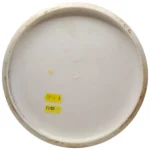 Discmania Color Glow D-line Flex 3 Rainmaker Eagle Mcmahon - Image 2