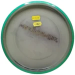 Axiom Discs Eclipse Paradox - Image 2