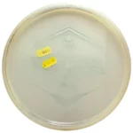 Westside Discs VIP Moonshine Glow Harp (Ricky Wysocki) - Bild 2