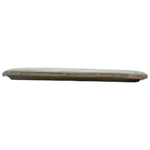 prodiscus basic amulet 4
