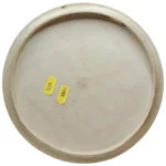 Prodiscus Basic Amulet - Image 3