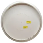 Prodiscus Basic MidariX - Image 3
