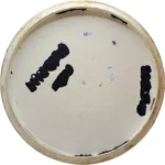Discraft Esp Comet - Image 2
