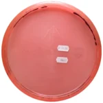 Discmania Color Glow C-Line P3X - Iron Stone - Image 3