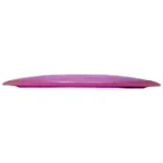 Innova Champion Tern - Image 3