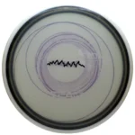 MVP Eclipse Glow Reactor Dyed