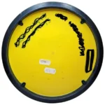 Innova Star Atlas - Image 3